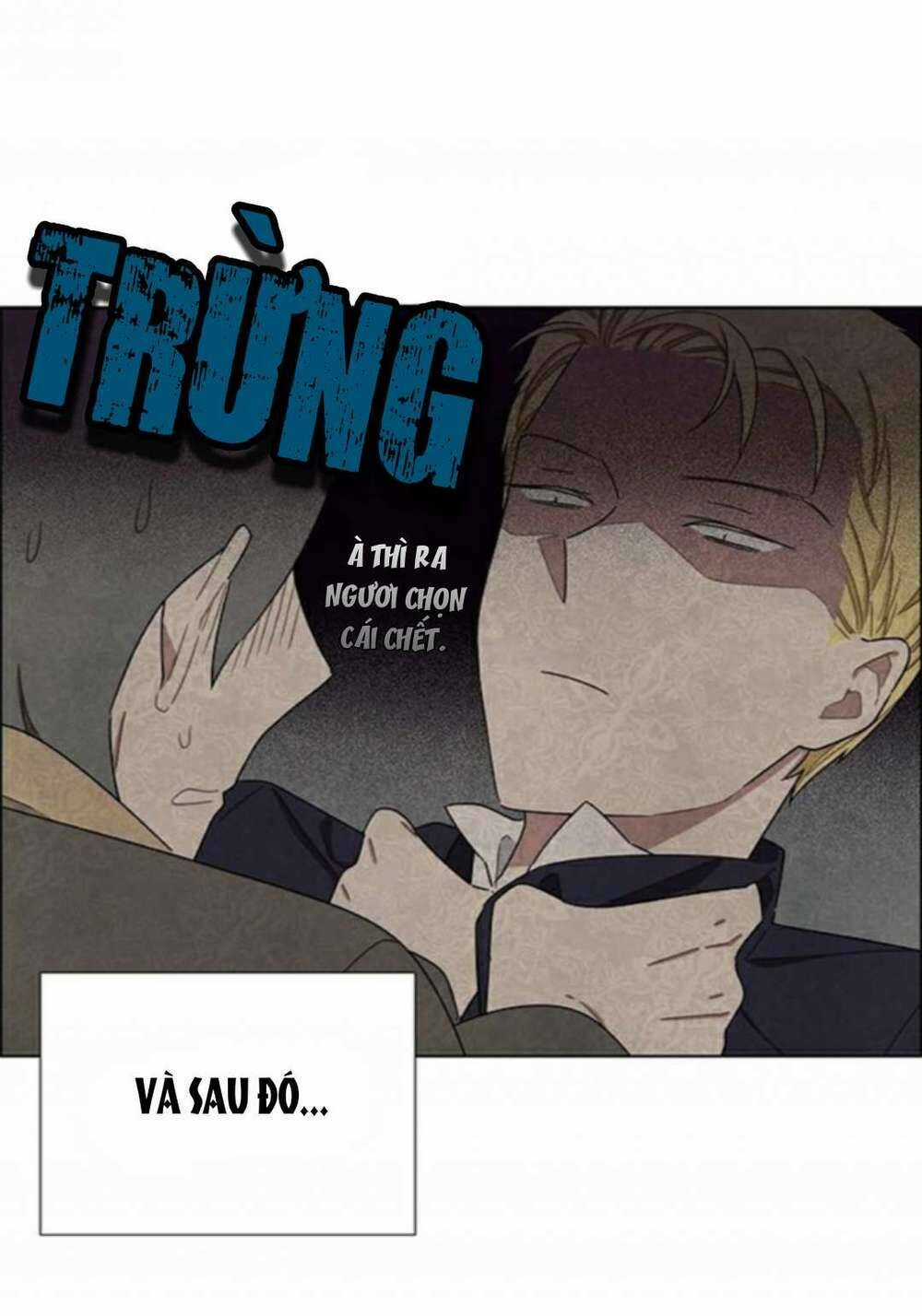 Tôi Đã Cướp Mất Đêm Đầu Tiên Của Nam Chính Chapter 30 trang 12