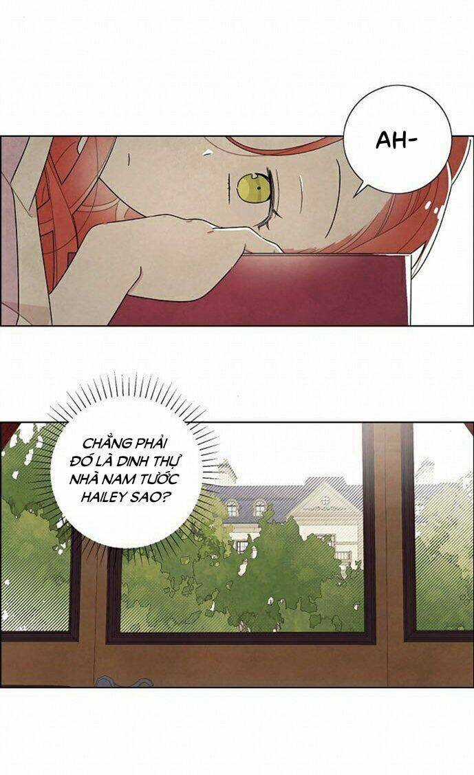 Tôi Đã Cướp Mất Đêm Đầu Tiên Của Nam Chính Chapter 31 trang 5