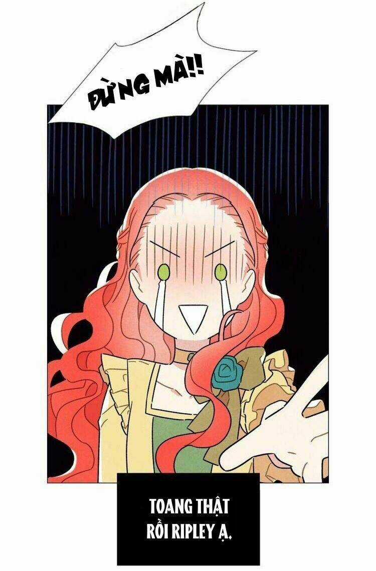 Tôi Đã Cướp Mất Đêm Đầu Tiên Của Nam Chính Chapter 4 trang 4