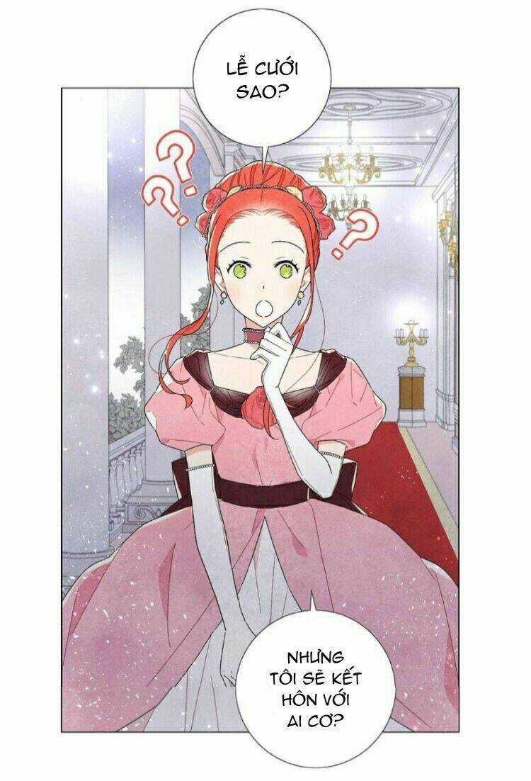 Tôi Đã Cướp Mất Đêm Đầu Tiên Của Nam Chính Chapter 6 trang 2