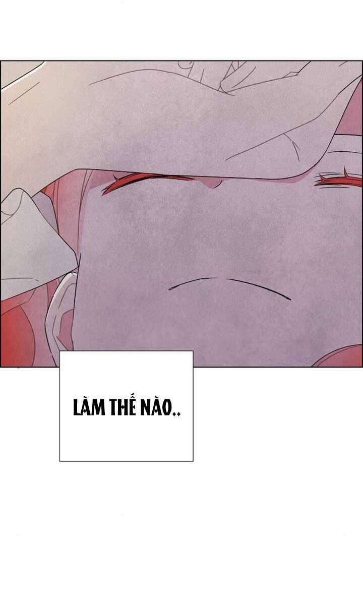 Tôi Đã Cướp Mất Đêm Đầu Tiên Của Nam Chính Chapter 66 trang 11