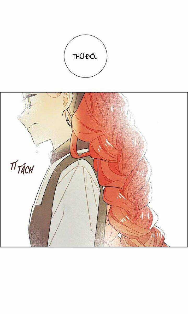 Tôi Đã Cướp Mất Đêm Đầu Tiên Của Nam Chính Chapter 67 trang 17