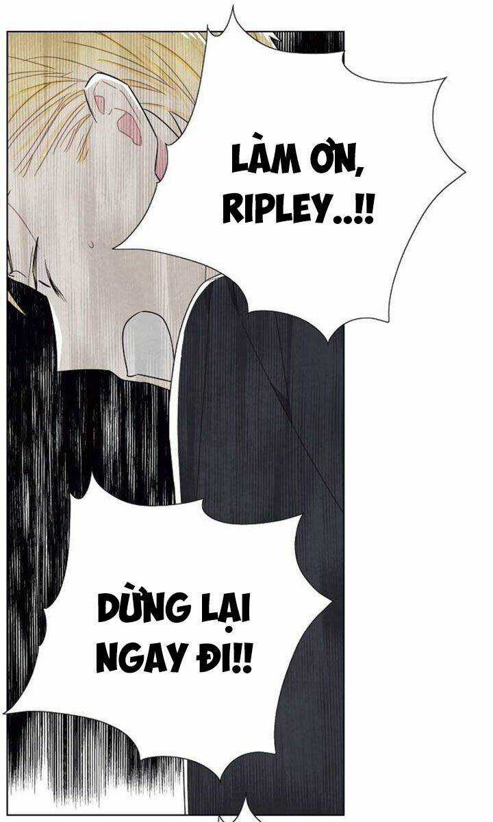 Tôi Đã Cướp Mất Đêm Đầu Tiên Của Nam Chính Chapter 67 trang 28