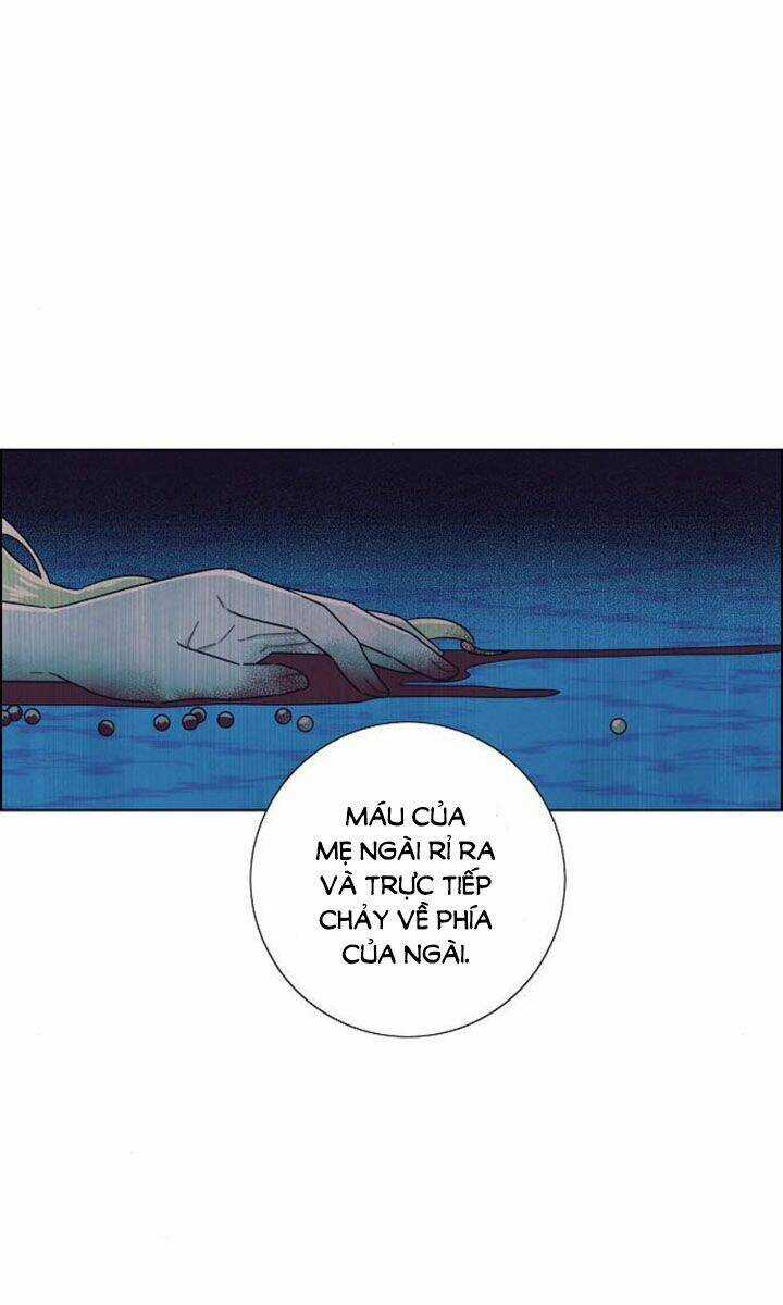 Tôi Đã Cướp Mất Đêm Đầu Tiên Của Nam Chính Chapter 67 trang 39