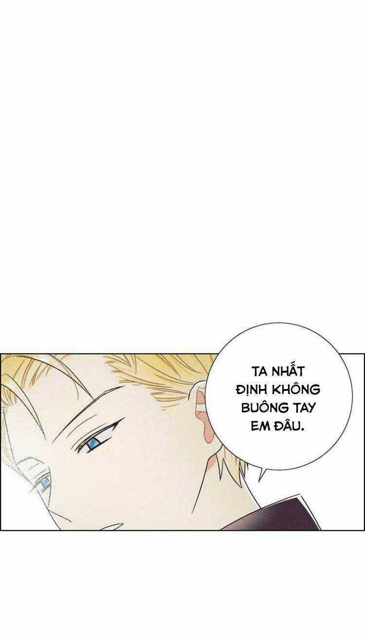 Tôi Đã Cướp Mất Đêm Đầu Tiên Của Nam Chính Chapter 69 trang 38