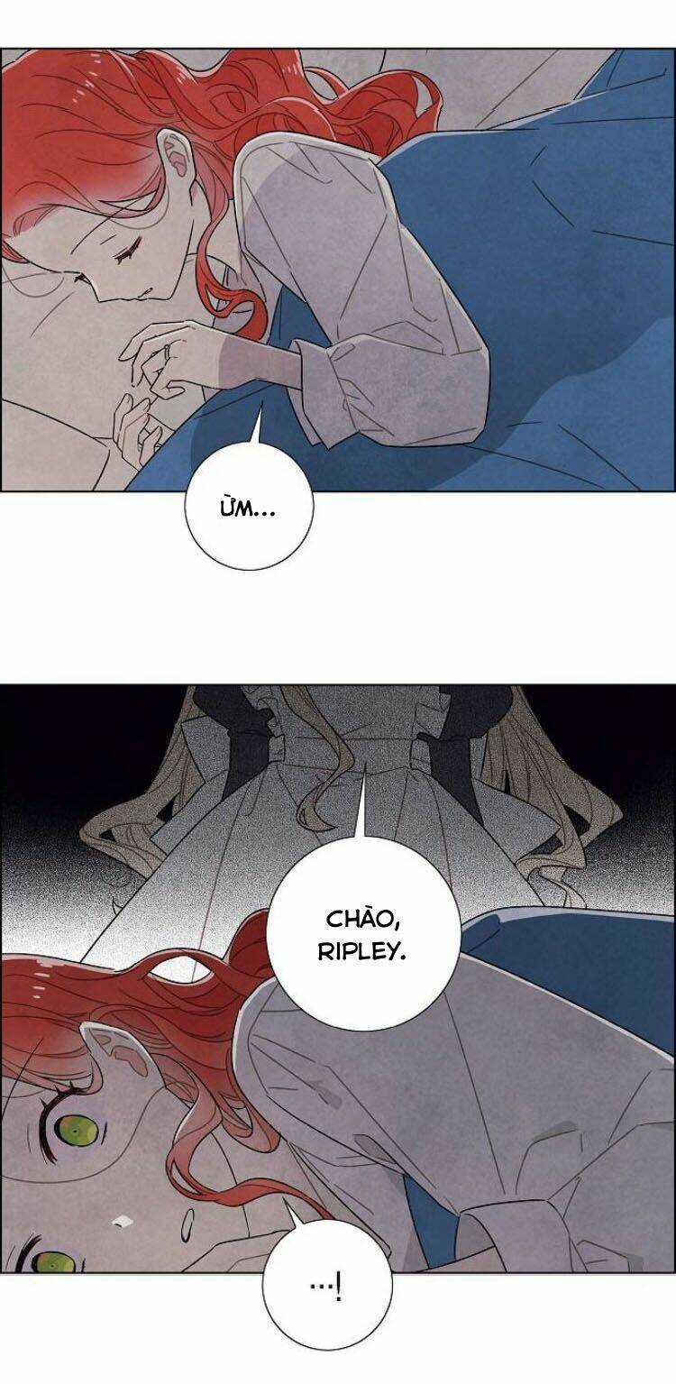 Tôi Đã Cướp Mất Đêm Đầu Tiên Của Nam Chính Chapter 69 trang 67