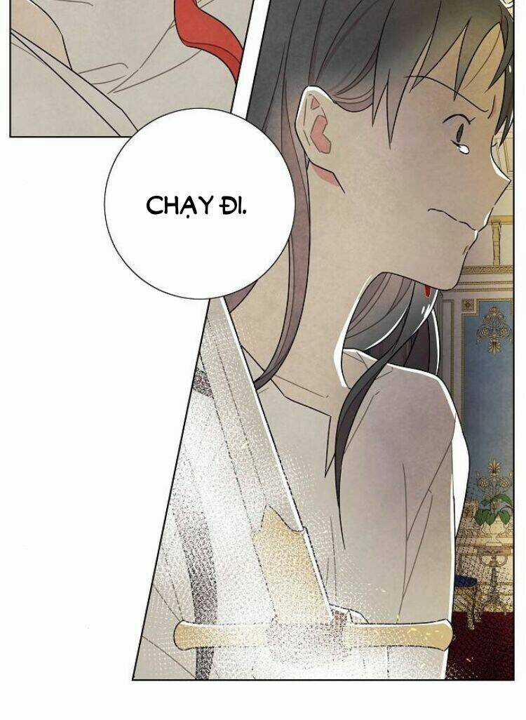 Tôi Đã Cướp Mất Đêm Đầu Tiên Của Nam Chính Chapter 71 trang 19