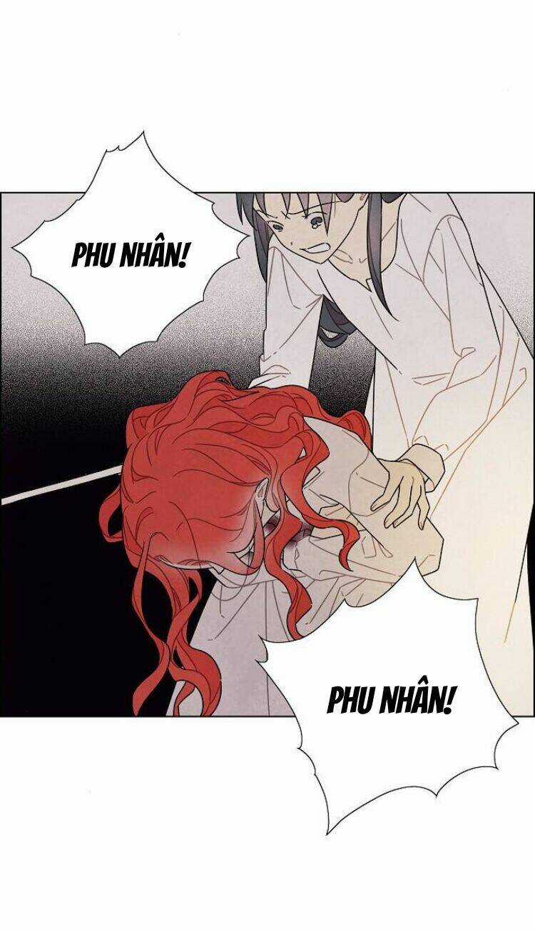 Tôi Đã Cướp Mất Đêm Đầu Tiên Của Nam Chính Chapter 71 trang 6