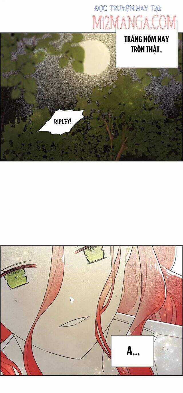 Tôi Đã Cướp Mất Đêm Đầu Tiên Của Nam Chính Chapter 72.5 trang 21