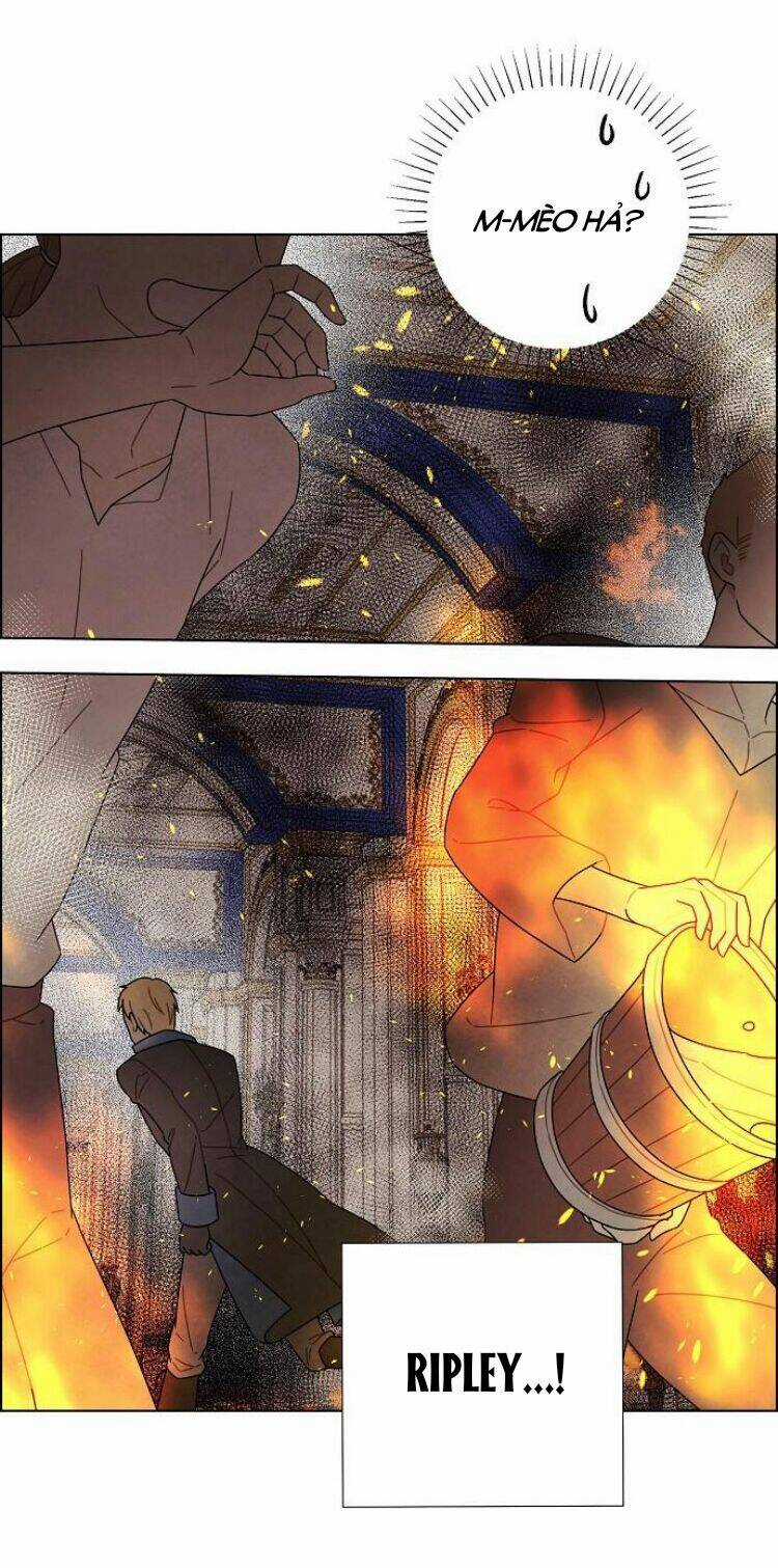 Tôi Đã Cướp Mất Đêm Đầu Tiên Của Nam Chính Chapter 72 trang 19