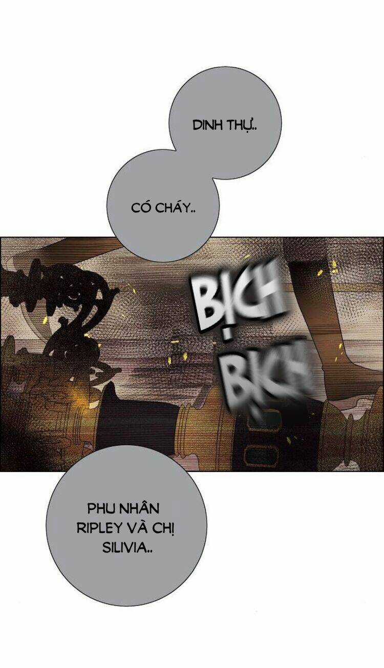 Tôi Đã Cướp Mất Đêm Đầu Tiên Của Nam Chính Chapter 72 trang 2