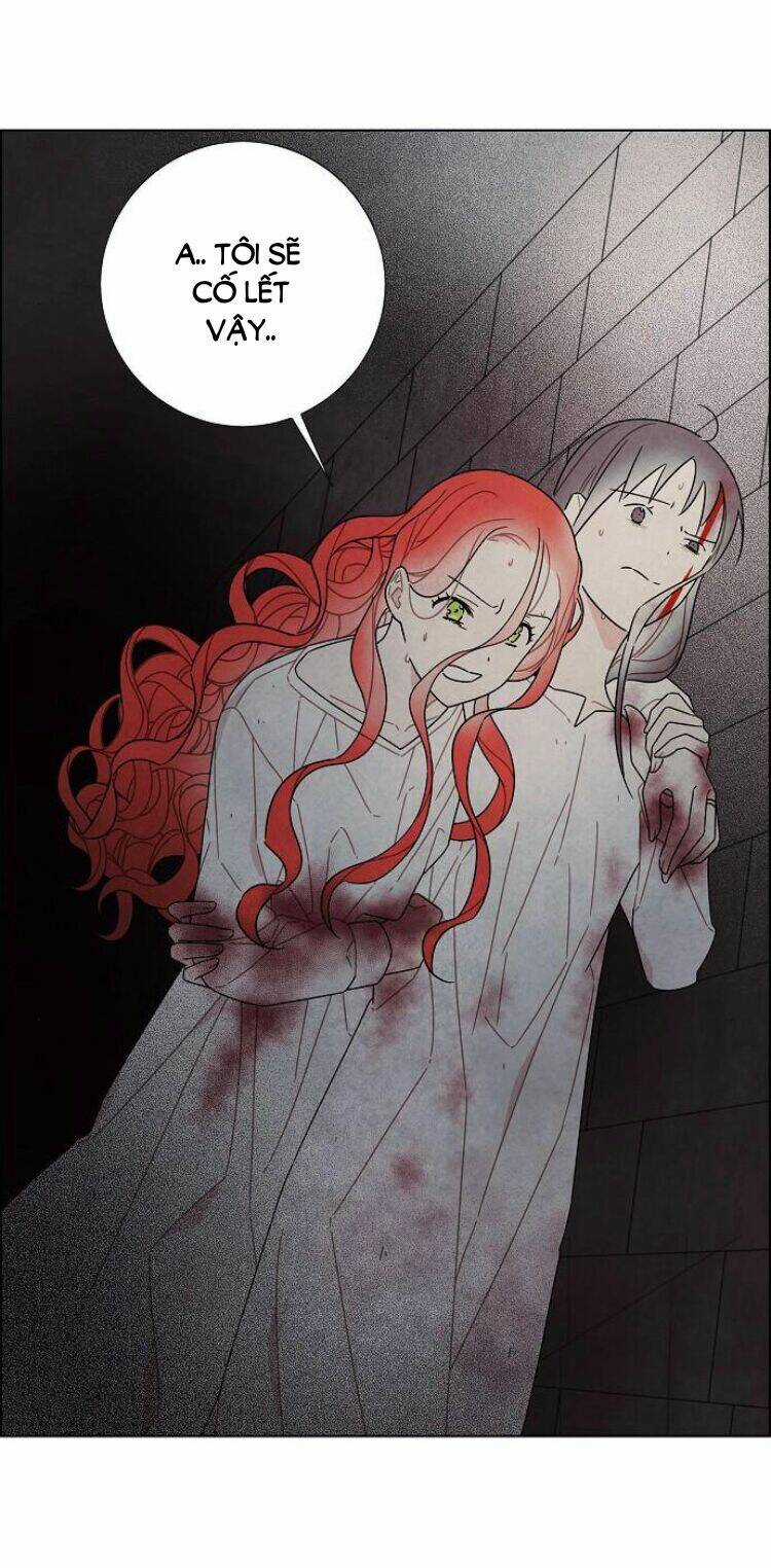 Tôi Đã Cướp Mất Đêm Đầu Tiên Của Nam Chính Chapter 72 trang 33