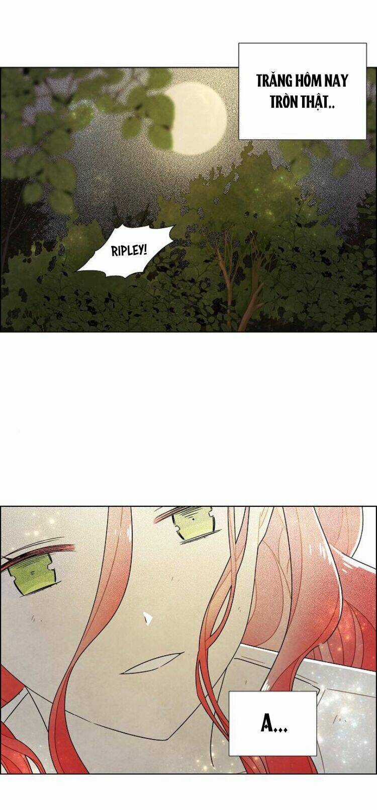 Tôi Đã Cướp Mất Đêm Đầu Tiên Của Nam Chính Chapter 72 trang 49