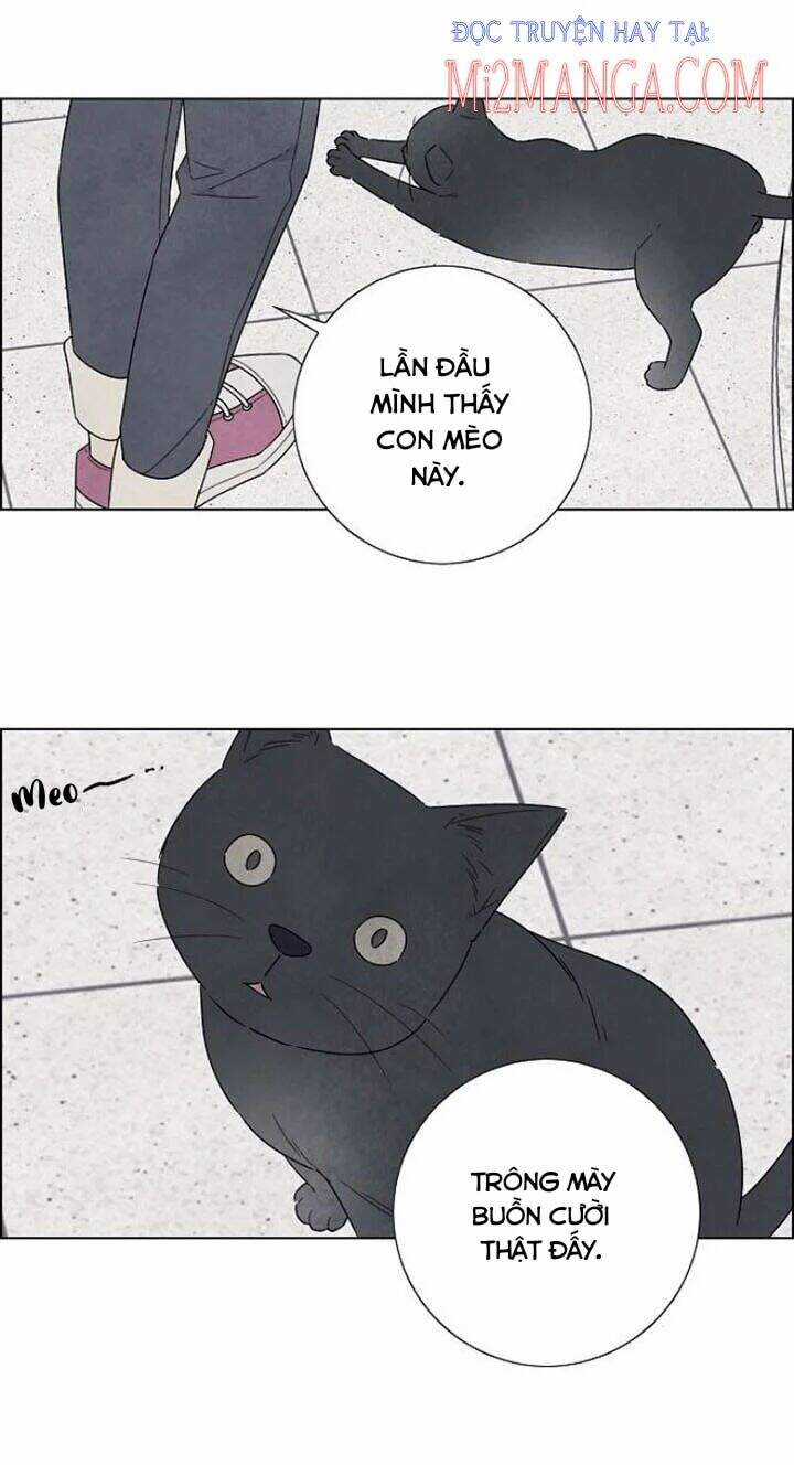 Tôi Đã Cướp Mất Đêm Đầu Tiên Của Nam Chính Chapter 73.5 trang 24