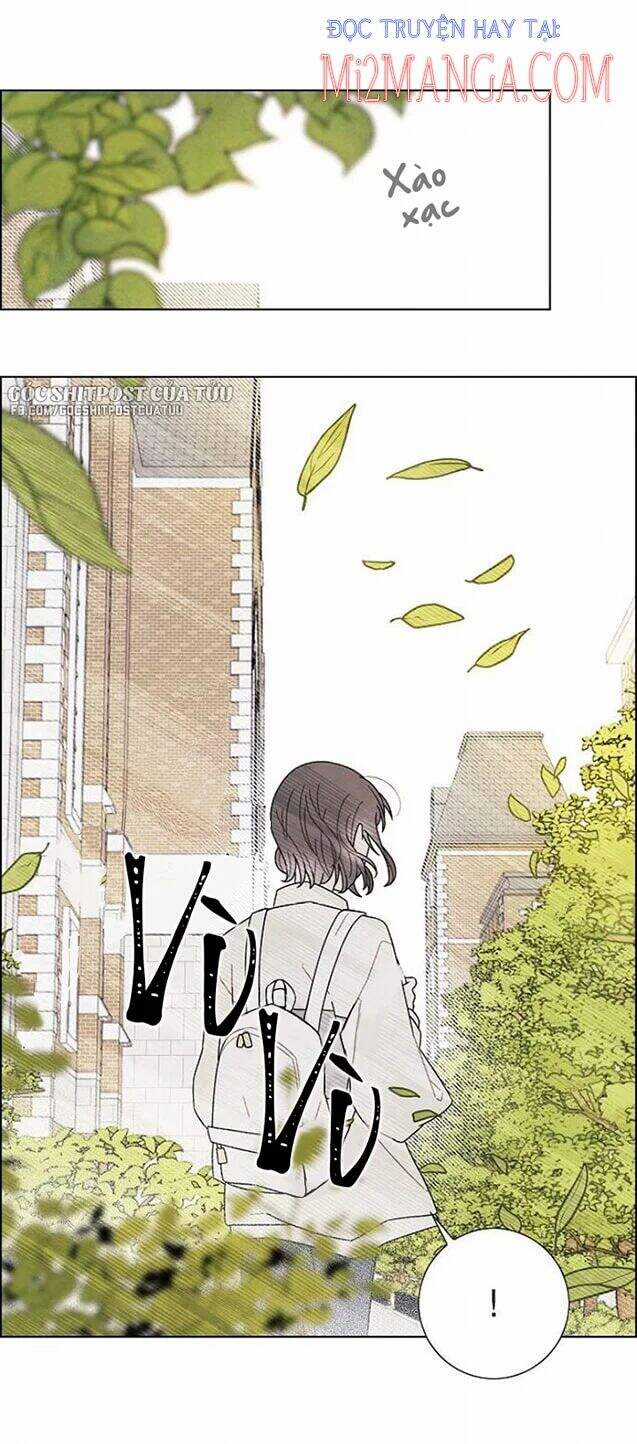 Tôi Đã Cướp Mất Đêm Đầu Tiên Của Nam Chính Chapter 73.5 trang 25