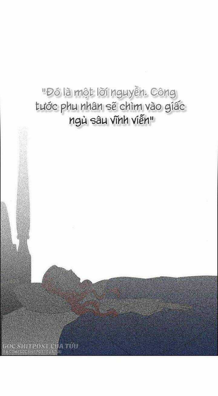 Tôi Đã Cướp Mất Đêm Đầu Tiên Của Nam Chính Chapter 73 trang 11