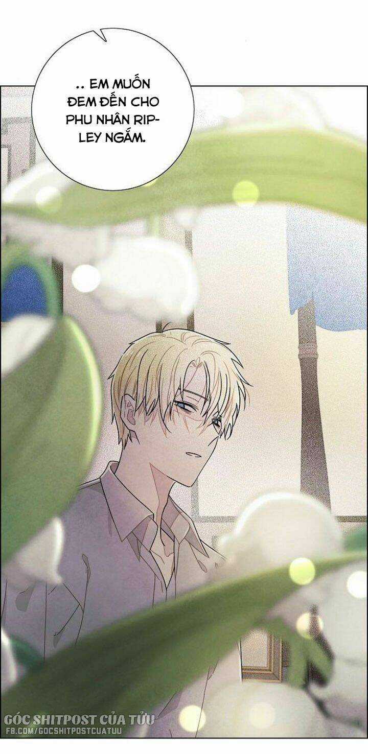 Tôi Đã Cướp Mất Đêm Đầu Tiên Của Nam Chính Chapter 73 trang 19