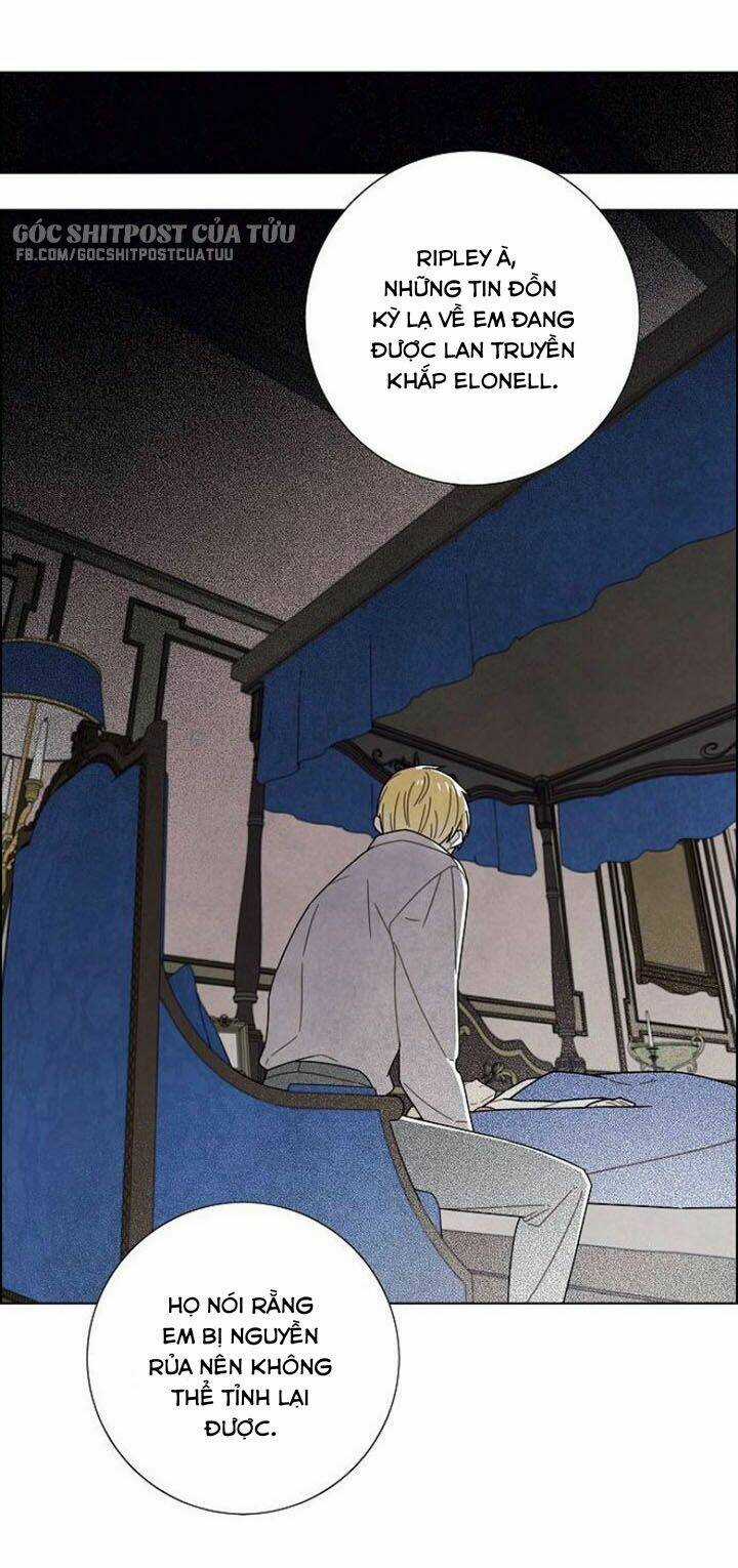 Tôi Đã Cướp Mất Đêm Đầu Tiên Của Nam Chính Chapter 73 trang 41