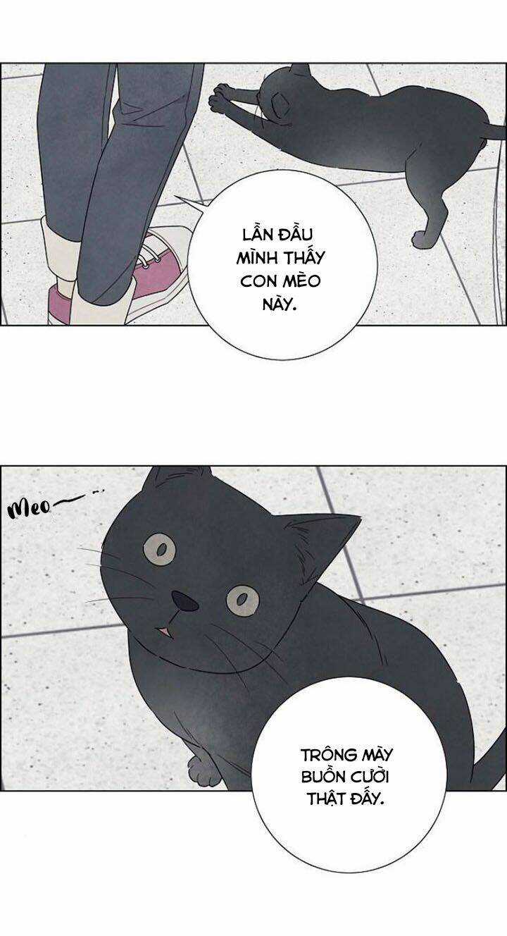 Tôi Đã Cướp Mất Đêm Đầu Tiên Của Nam Chính Chapter 73 trang 50