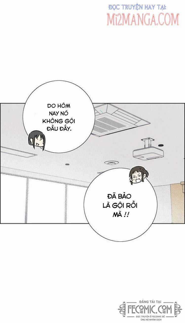 Tôi Đã Cướp Mất Đêm Đầu Tiên Của Nam Chính Chapter 74.5 trang 3