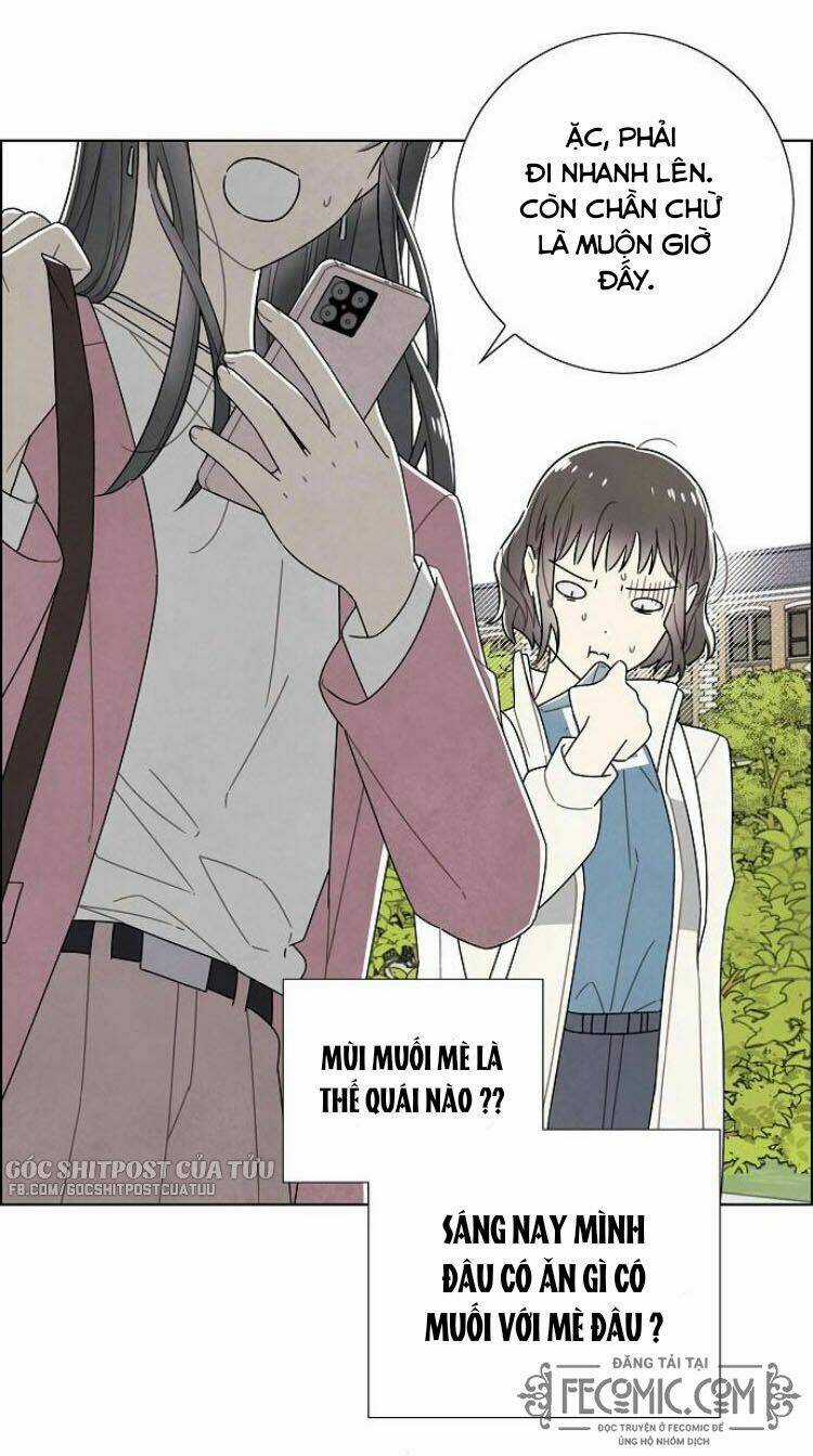 Tôi Đã Cướp Mất Đêm Đầu Tiên Của Nam Chính Chapter 74 trang 13