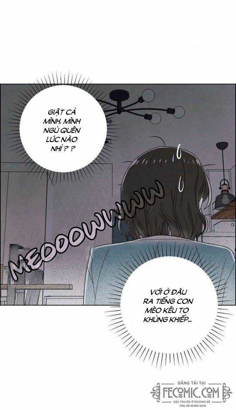 Tôi Đã Cướp Mất Đêm Đầu Tiên Của Nam Chính Chapter 74 trang 47