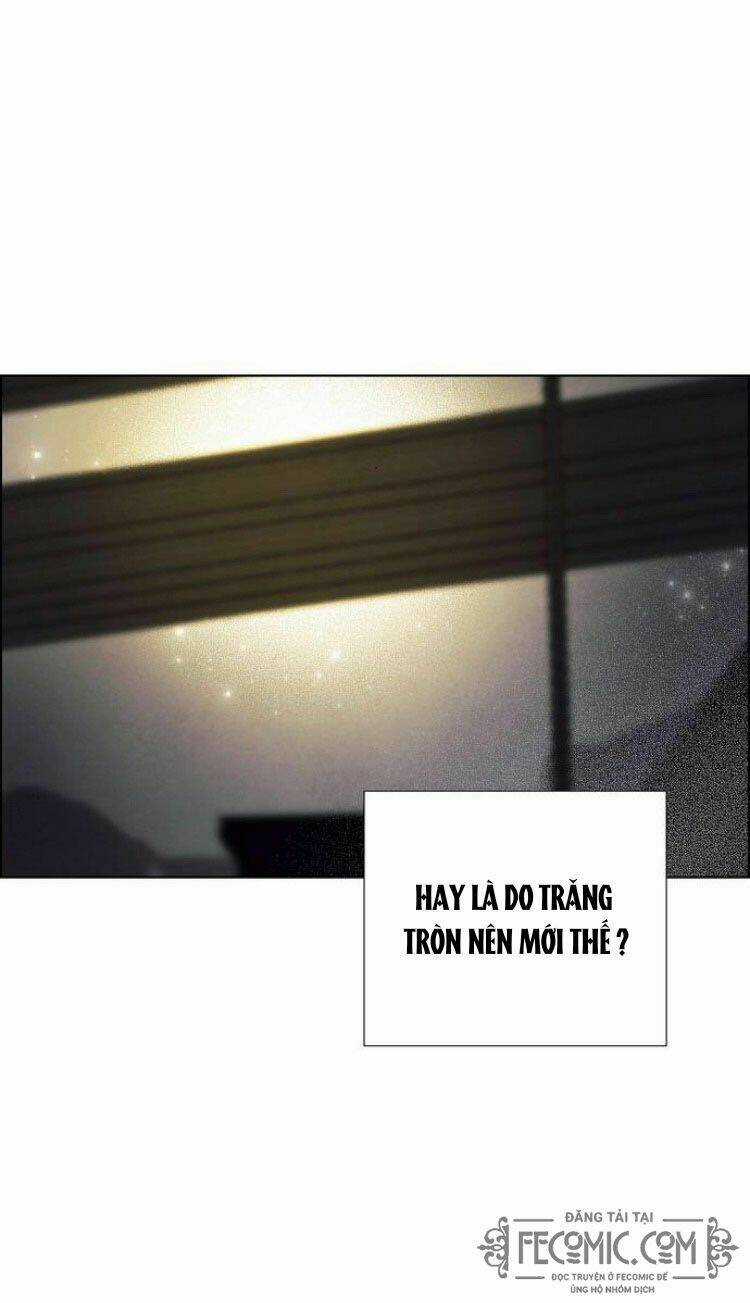 Tôi Đã Cướp Mất Đêm Đầu Tiên Của Nam Chính Chapter 74 trang 56
