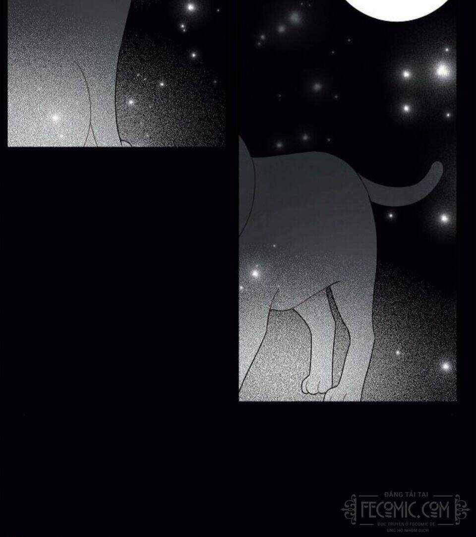 Tôi Đã Cướp Mất Đêm Đầu Tiên Của Nam Chính Chapter 76 trang 55