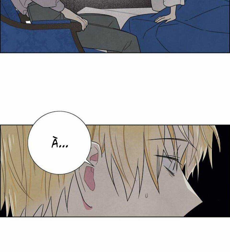 Tôi Đã Cướp Mất Đêm Đầu Tiên Của Nam Chính Chapter 77 trang 15