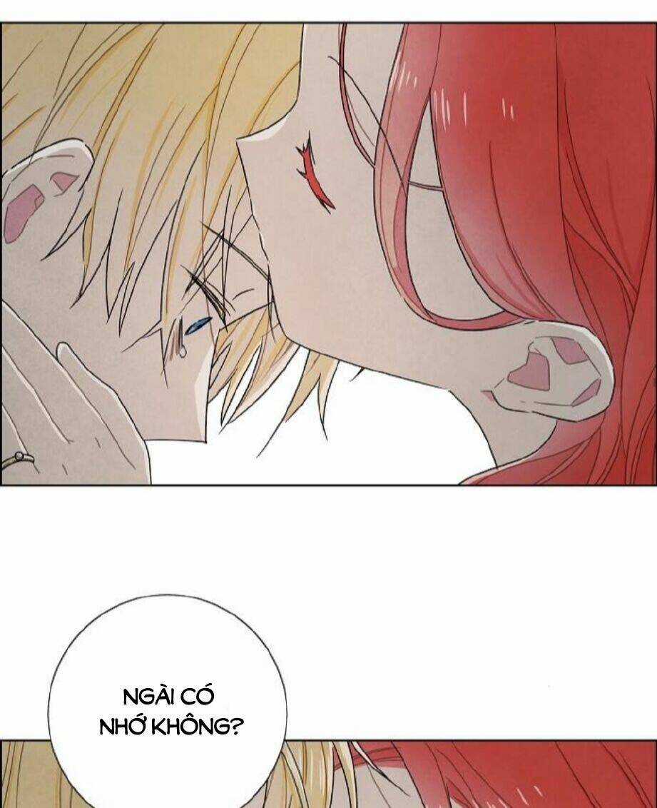 Tôi Đã Cướp Mất Đêm Đầu Tiên Của Nam Chính Chapter 77 trang 23