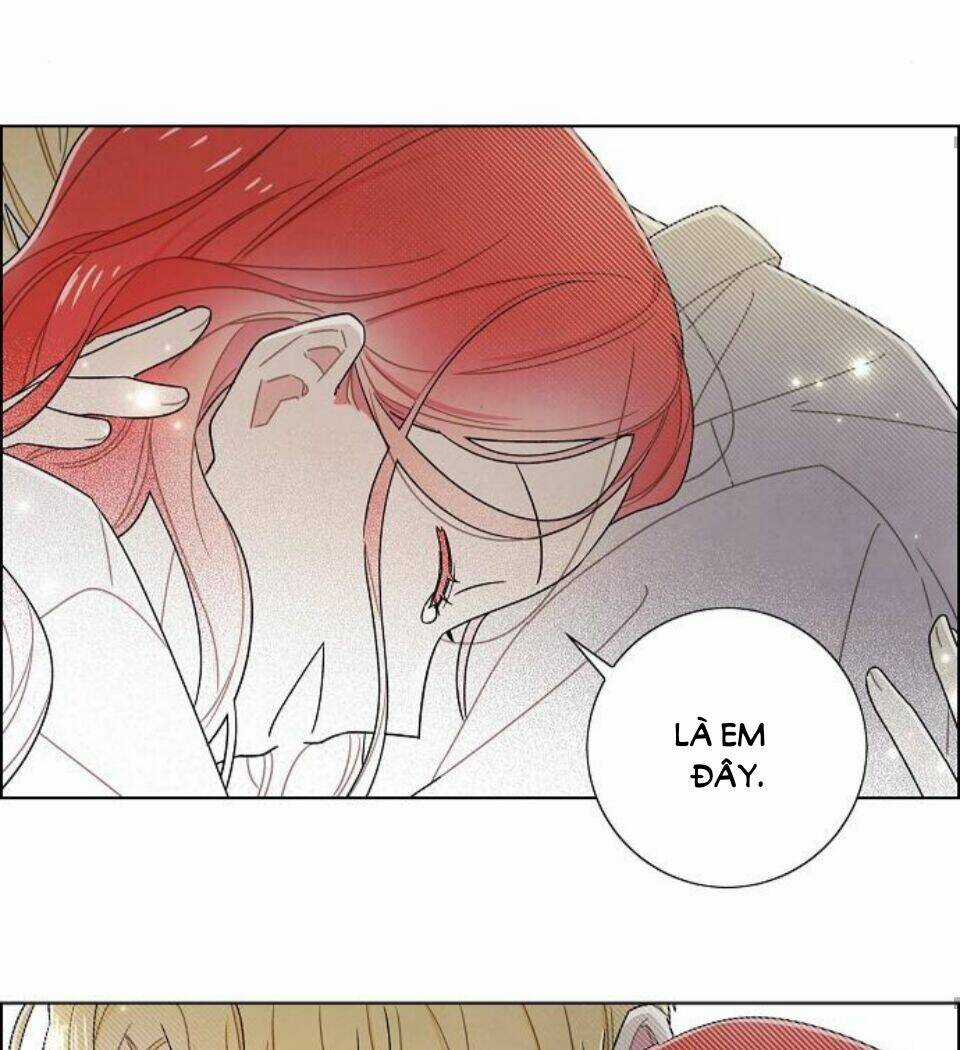 Tôi Đã Cướp Mất Đêm Đầu Tiên Của Nam Chính Chapter 77 trang 28