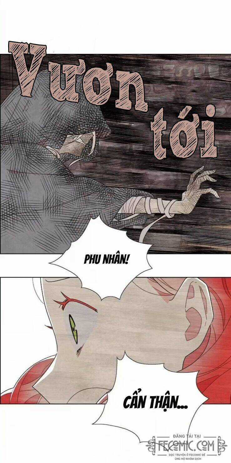 Tôi Đã Cướp Mất Đêm Đầu Tiên Của Nam Chính Chapter 81 trang 13