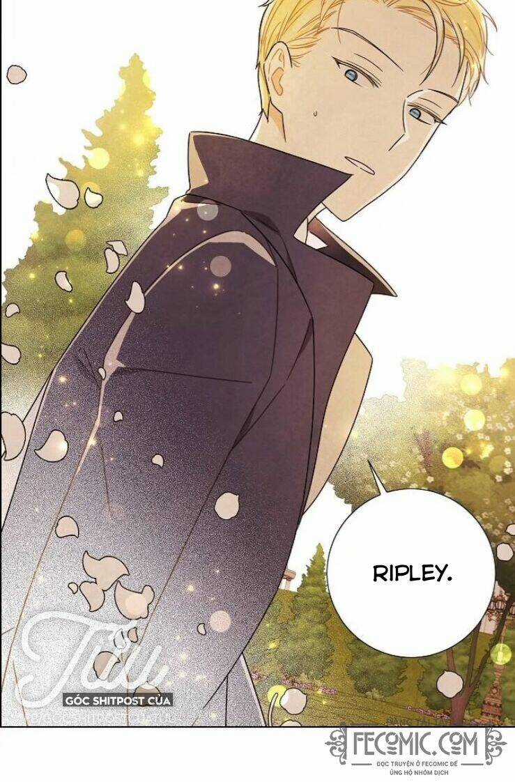 Tôi Đã Cướp Mất Đêm Đầu Tiên Của Nam Chính Chapter 82 trang 54