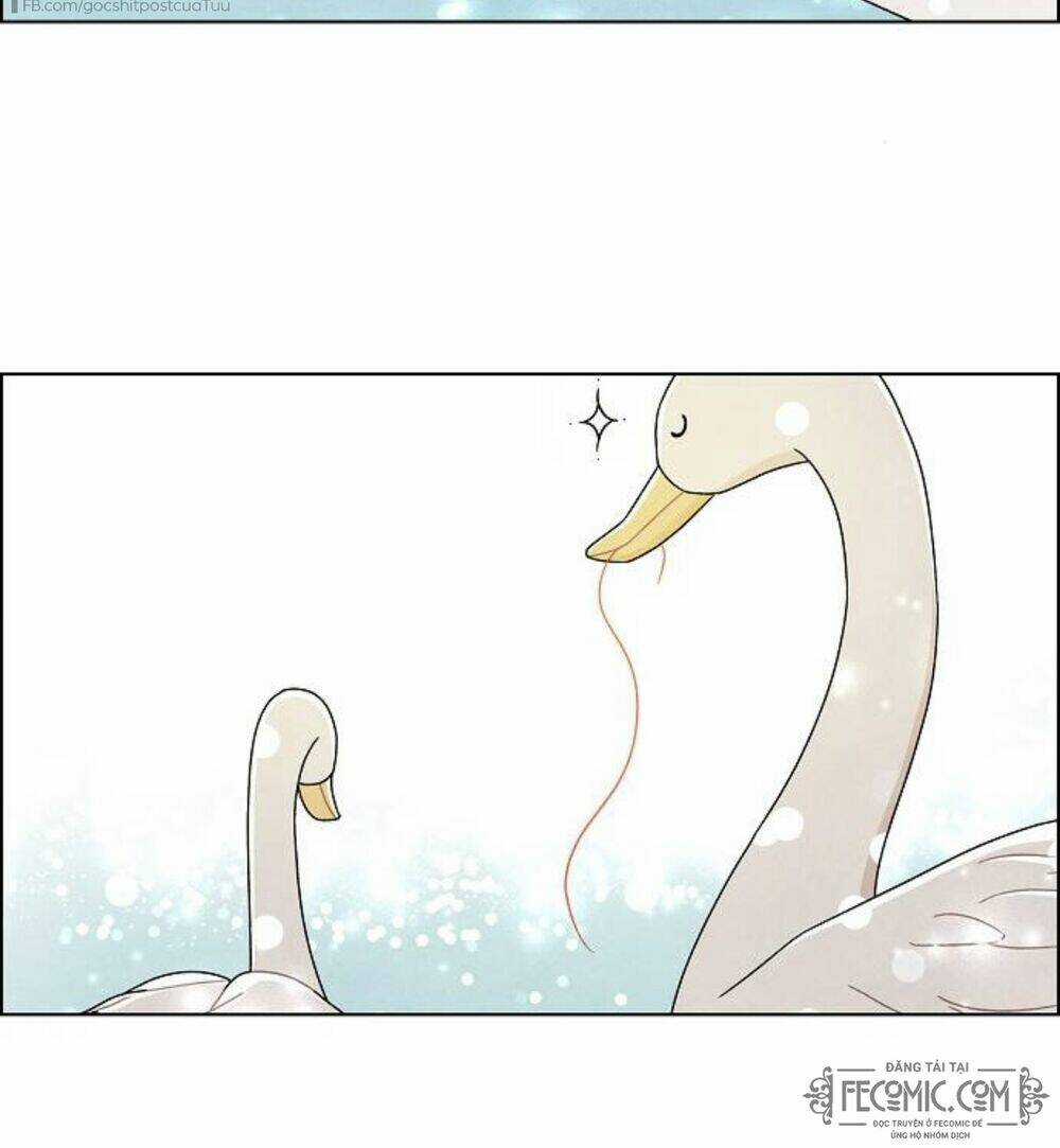 Tôi Đã Cướp Mất Đêm Đầu Tiên Của Nam Chính Chapter 88 trang 16