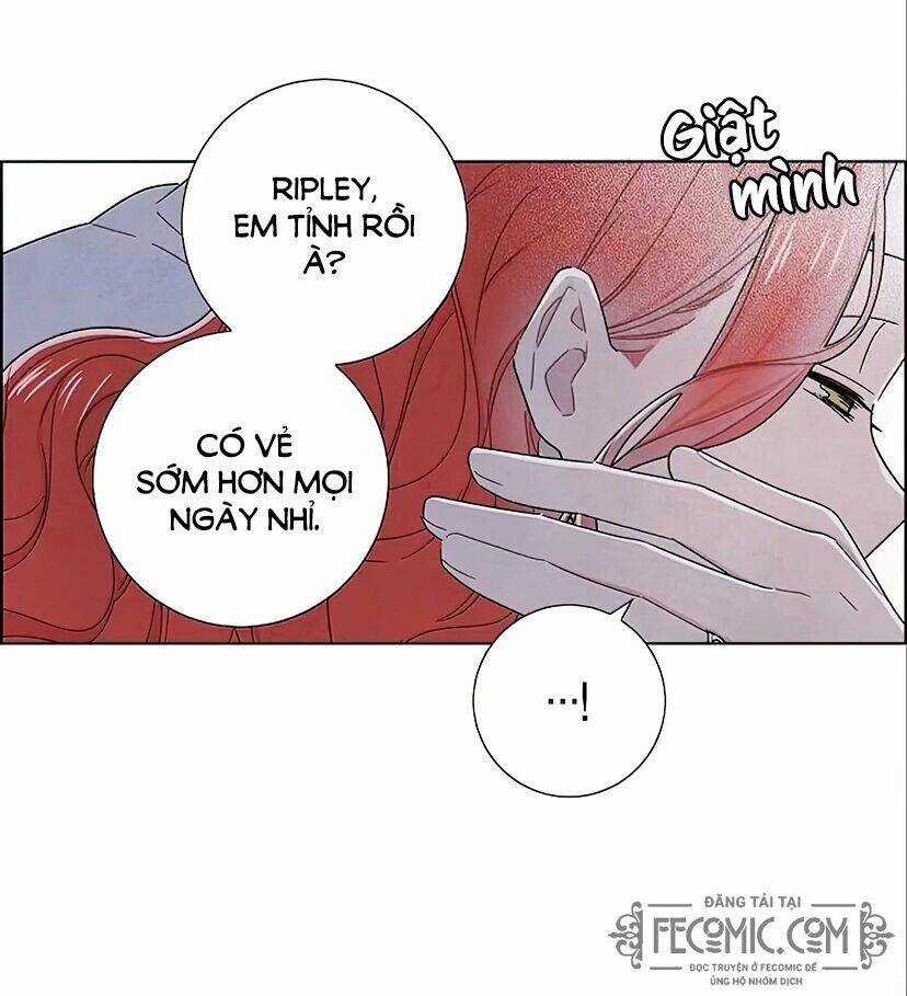 Tôi Đã Cướp Mất Đêm Đầu Tiên Của Nam Chính Chapter 95 trang 30