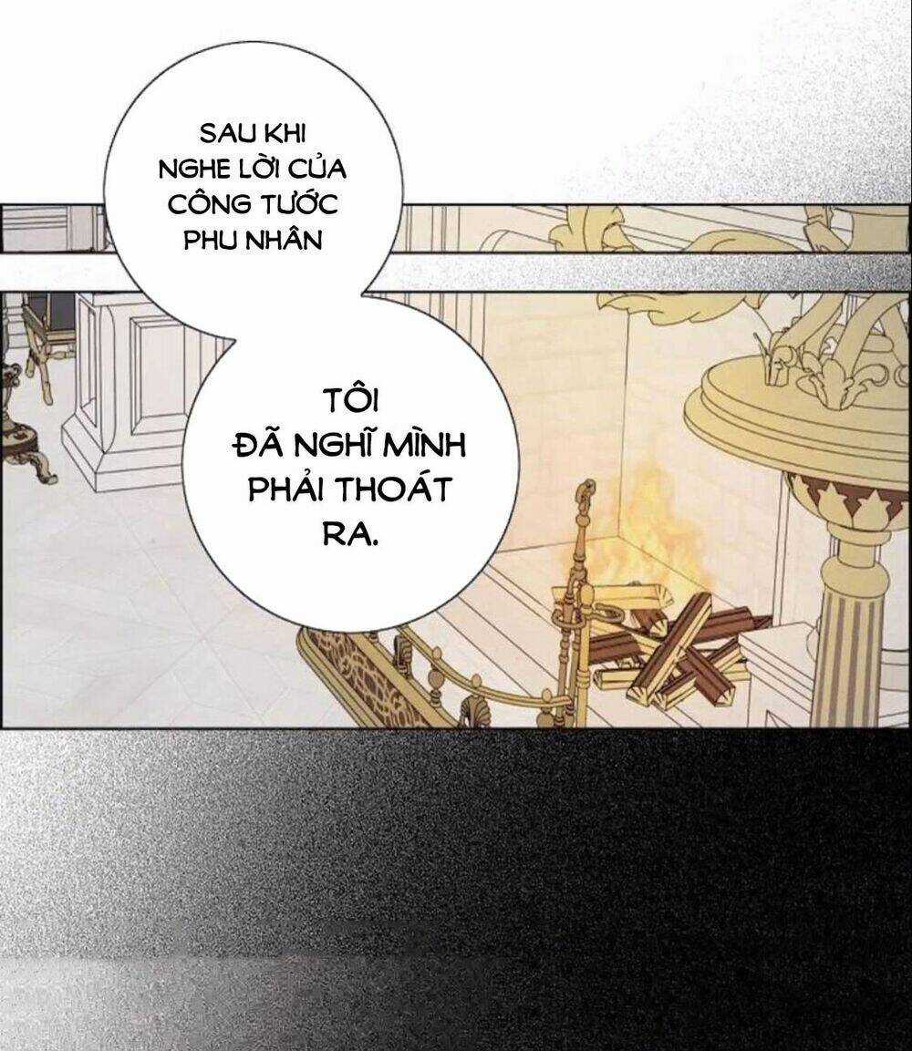 Tôi Đã Cướp Mất Đêm Đầu Tiên Của Nam Chính Chapter 96 trang 31