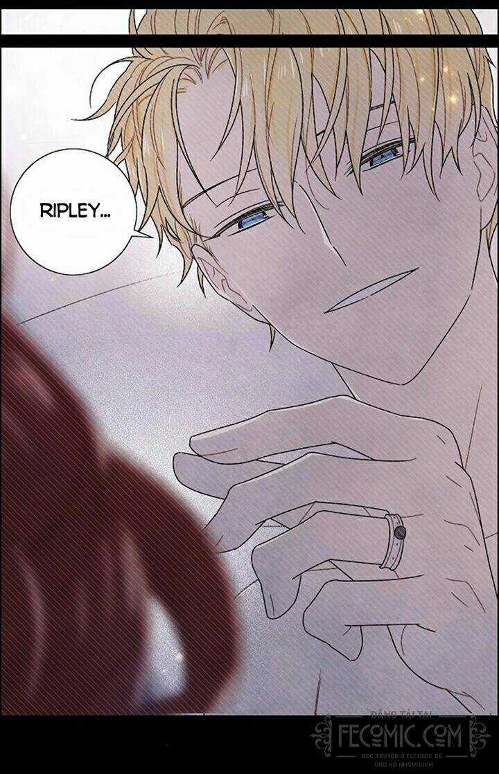 Tôi Đã Cướp Mất Đêm Đầu Tiên Của Nam Chính Chapter 98 trang 12