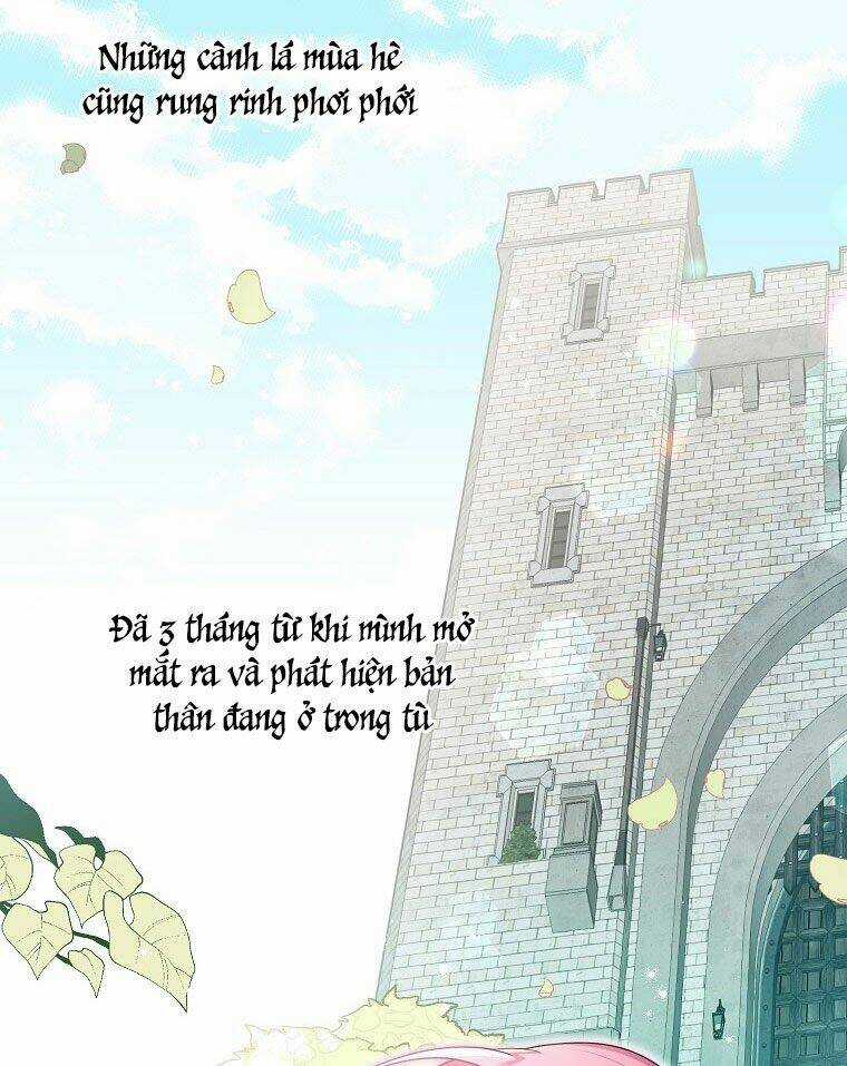 Tôi Đã Gặp Nam Chính Ở Trong Tù Chapter 1 trang 10