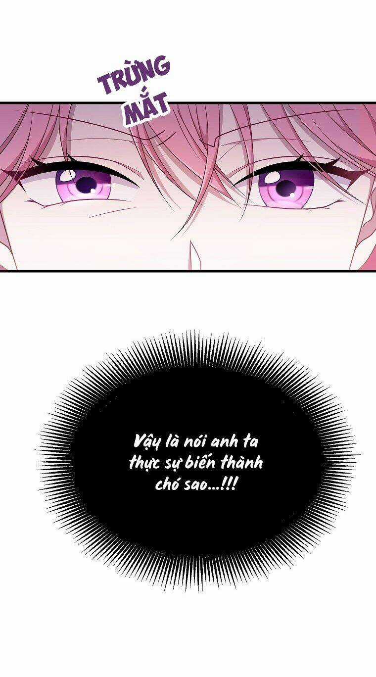 Tôi Đã Gặp Nam Chính Ở Trong Tù Chapter 1 trang 72