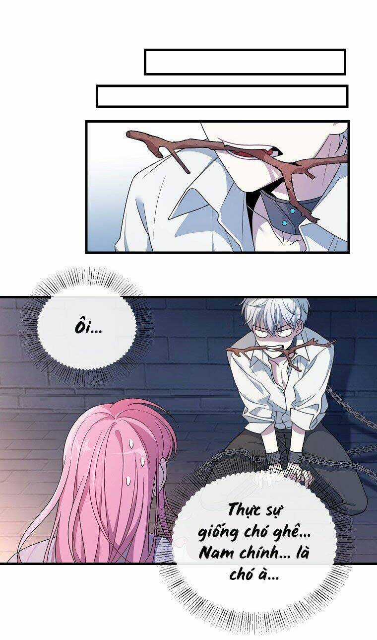 Tôi Đã Gặp Nam Chính Ở Trong Tù Chapter 1 trang 73