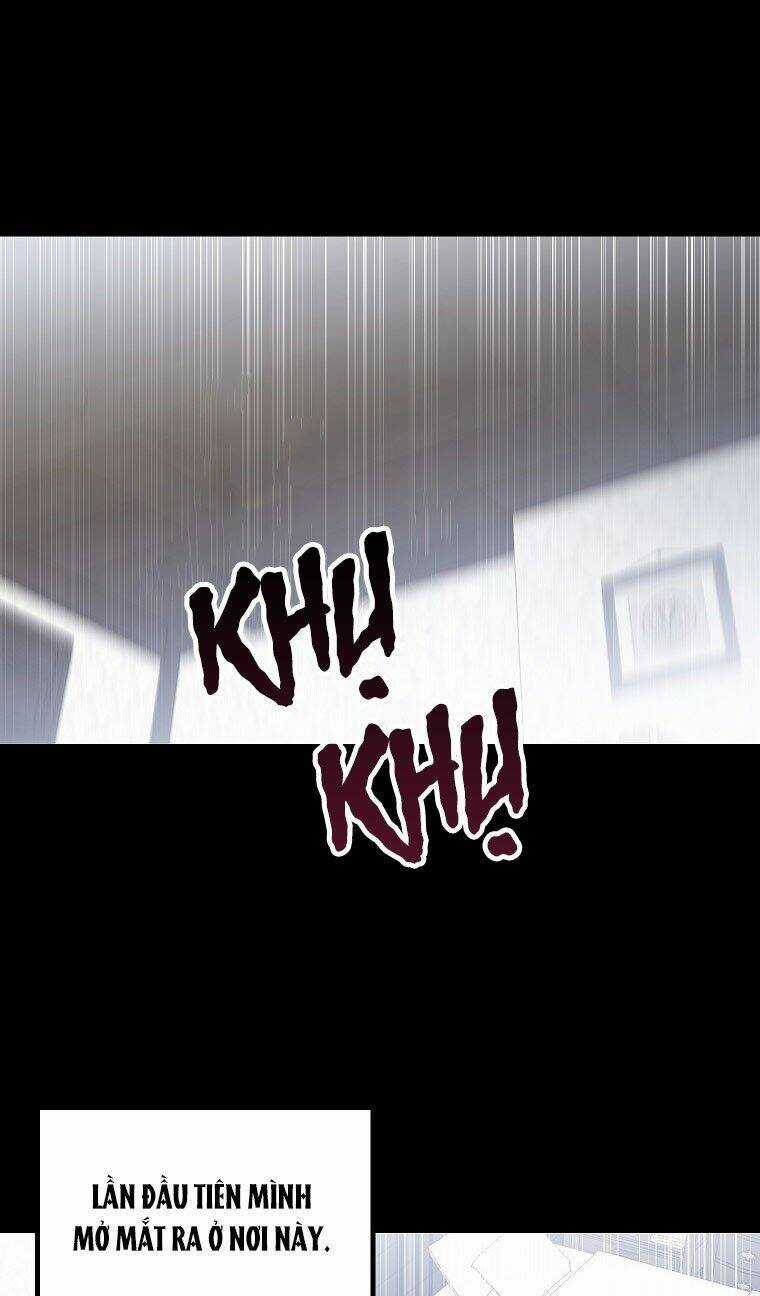 Tôi Đã Gặp Nam Chính Ở Trong Tù Chapter 11 trang 52