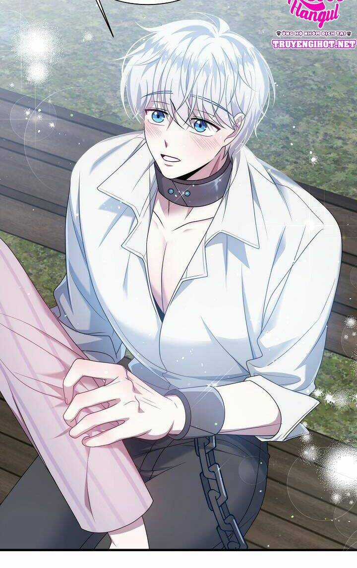 Tôi Đã Gặp Nam Chính Ở Trong Tù Chapter 20 trang 17