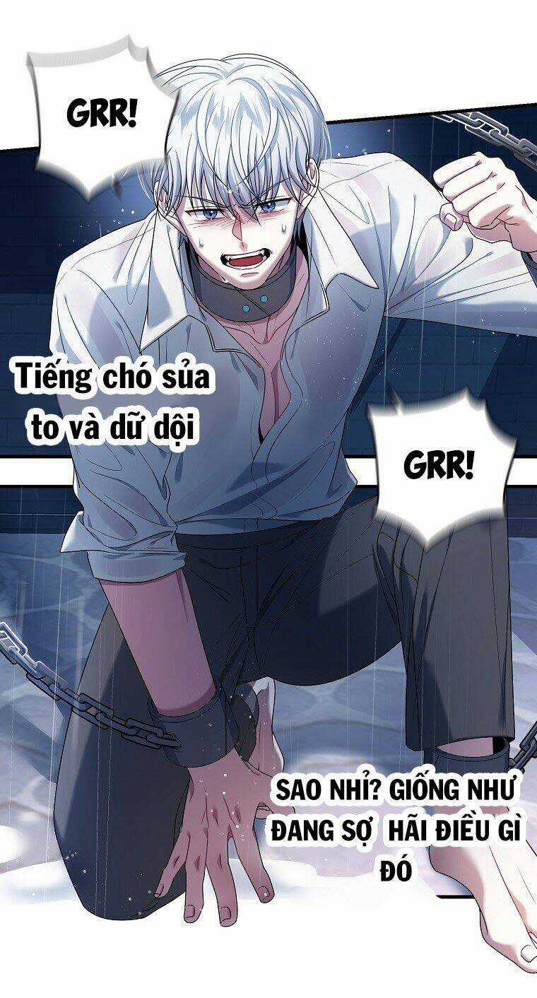 Tôi Đã Gặp Nam Chính Ở Trong Tù Chapter 4 trang 51