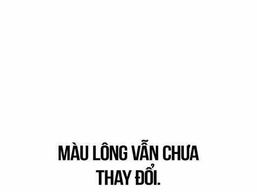 Tôi Đã Giết Tuyển Thủ Học Viện Chapter 29.5 trang 32