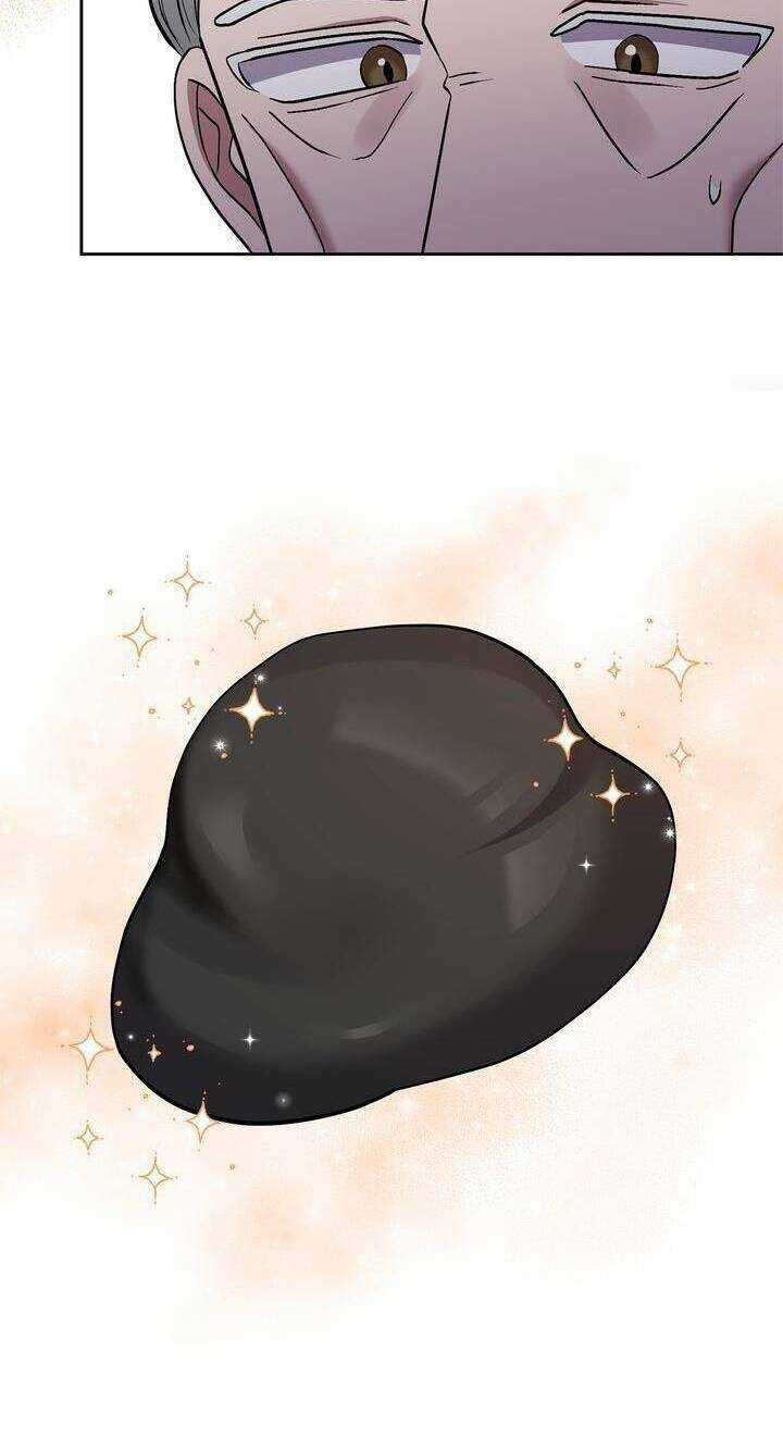 Tôi Đã Nhận Nuôi Nam Chính Chapter 33 trang 38