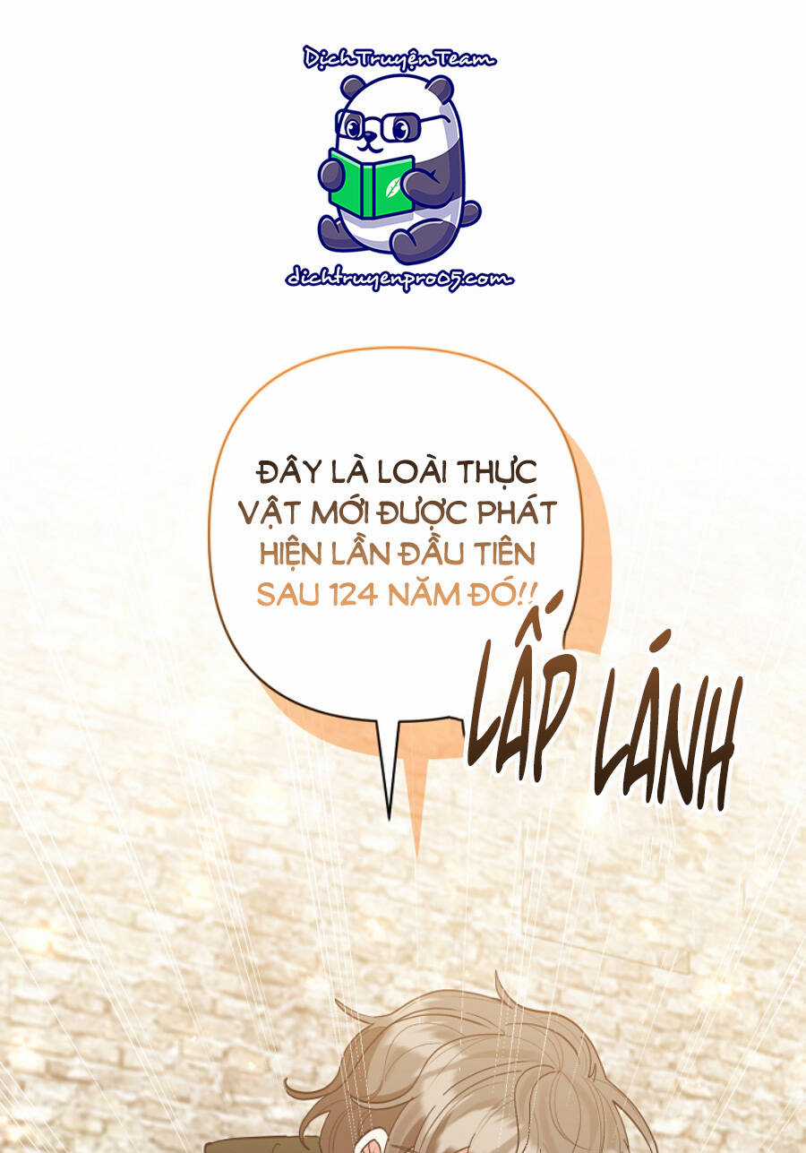 Tôi Đã Nhận Nuôi Nam Chính Chapter 59 trang 88