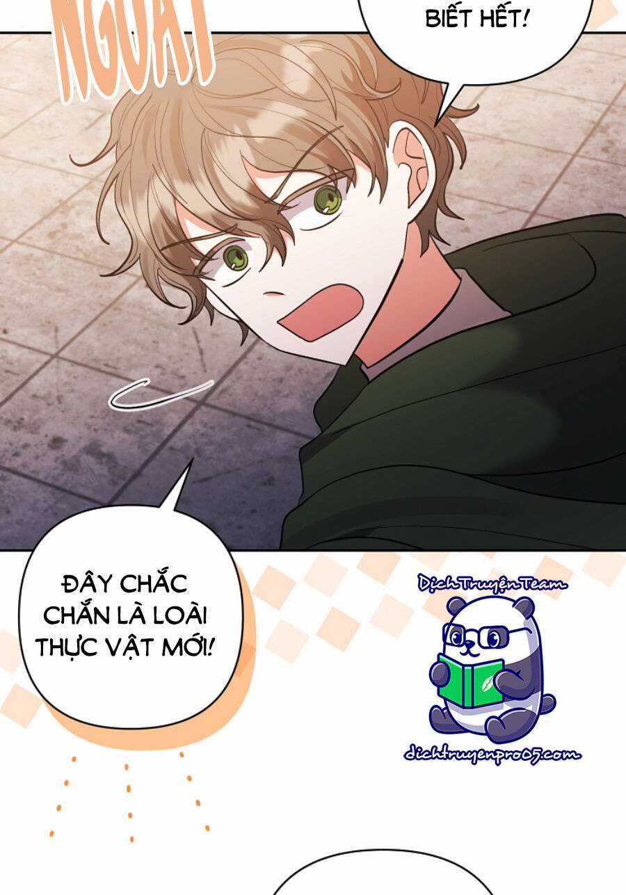 Tôi Đã Nhận Nuôi Nam Chính Chapter 60 trang 4