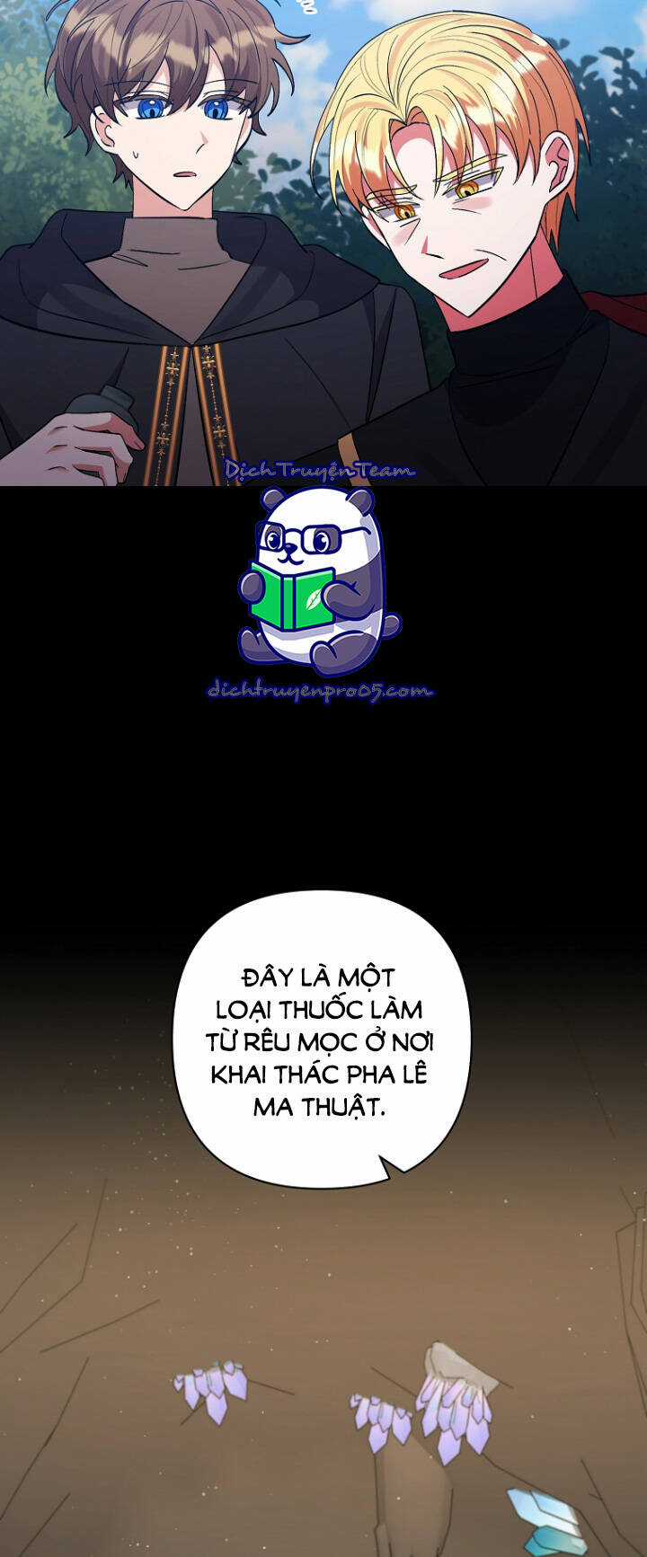 Tôi Đã Nhận Nuôi Nam Chính Chapter 61 trang 41