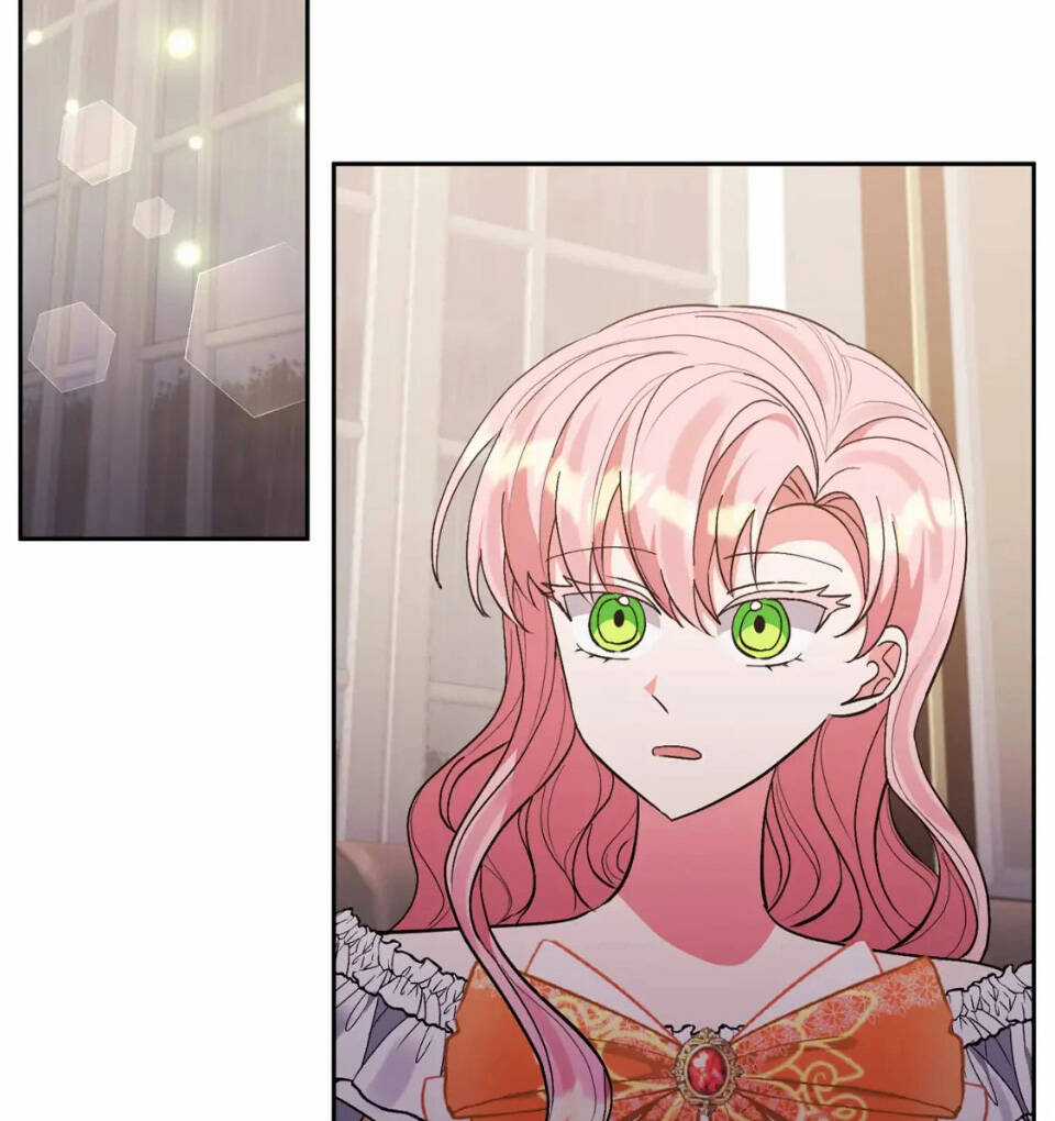 Tôi Đã Nhận Nuôi Nam Chính Chapter 73 trang 6