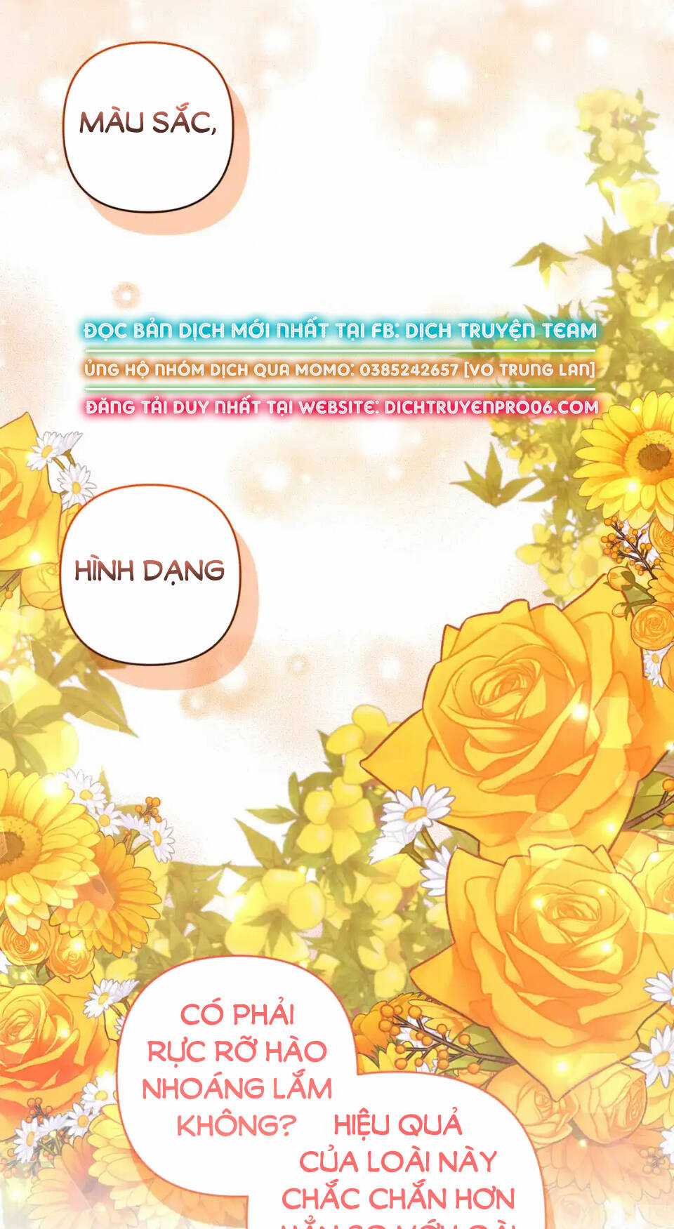 Tôi Đã Nhận Nuôi Nam Chính Chapter 76 trang 45